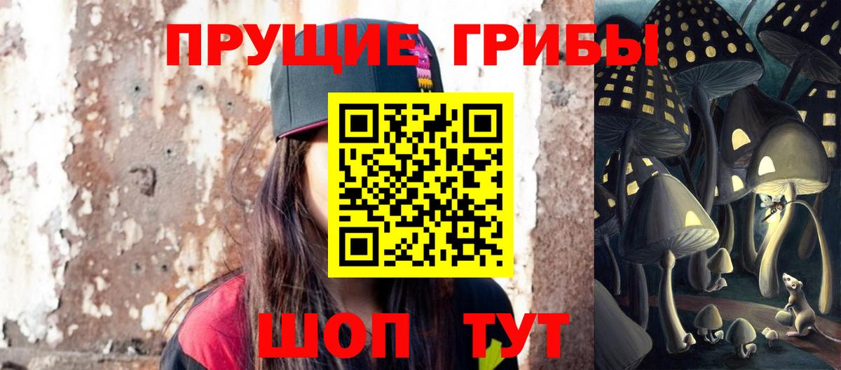 Анжеро-Судженск  Псилоцибиновые грибы мицелий  цены наркотик  Вход с VPN 
